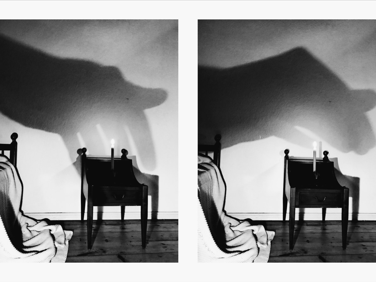 文を書くこと、映像を撮ること