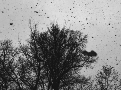 歪(いびつ)なもの